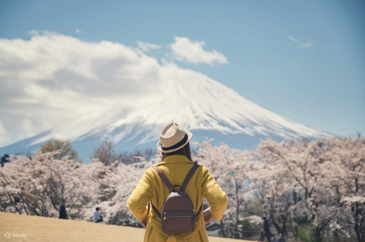 From Tokyo: Customizable Mount Fuji Full-Day Private Tour